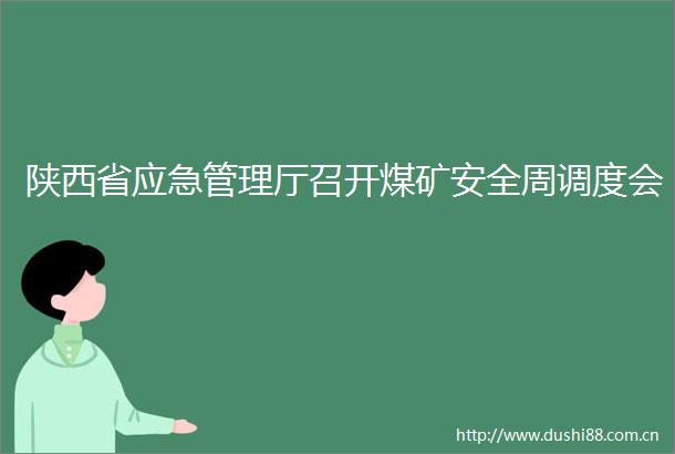 陕西省应急管理厅召开煤矿安全周调度会