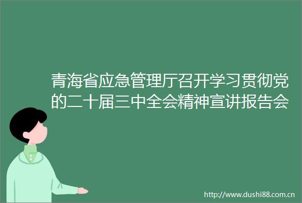 青海省应急管理厅召开学习贯彻党的二十届三中全会精神宣讲报告会