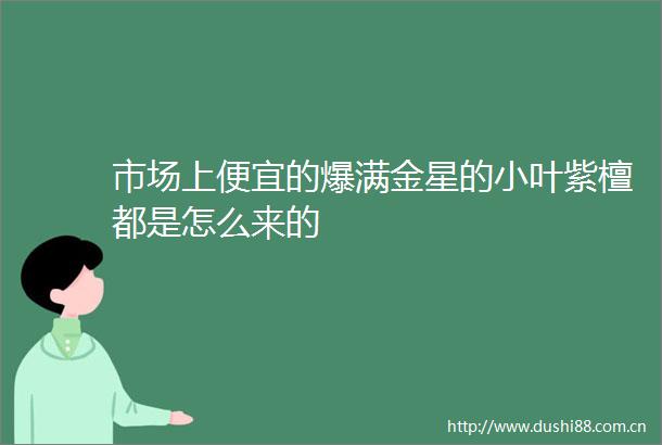 市场上便宜的爆满金星的小叶紫檀都是怎么来的