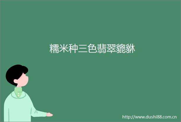糯米种三色翡翠貔貅