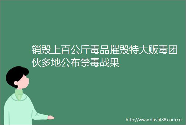 销毁上百公斤毒品摧毁特大贩毒团伙多地公布禁毒战果