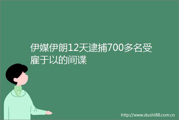 伊媒伊朗12天逮捕700多名受雇于以的间谍