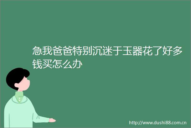 急我爸爸特别沉迷于玉器花了好多钱买怎么办