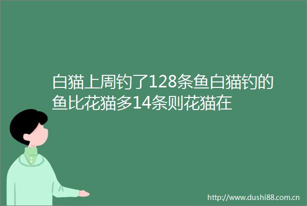 白猫上周钓了128条鱼白猫钓的鱼比花猫多14条则花猫在