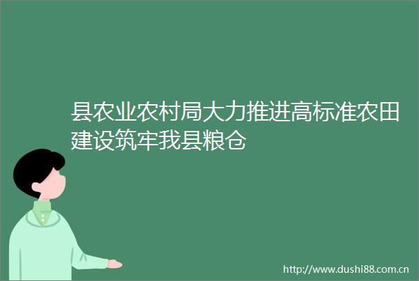 县农业农村局大力推进高标准农田建设筑牢我县粮仓
