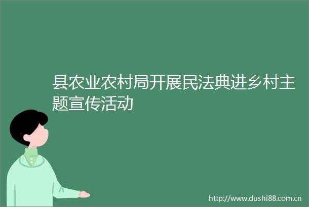 县农业农村局开展民法典进乡村主题宣传活动