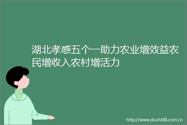 湖北孝感五个一助力农业增效益农民增收入农村增活力