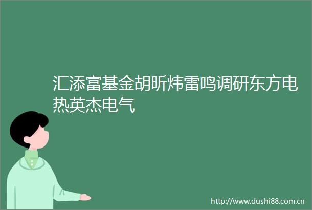 汇添富基金胡昕炜雷鸣调研东方电热英杰电气