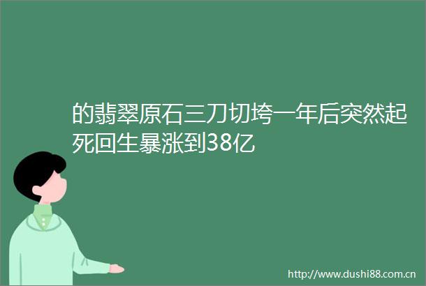 的翡翠原石三刀切垮一年后突然起死回生暴涨到38亿