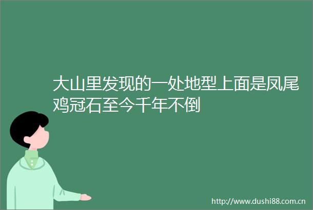 大山里发现的一处地型上面是凤尾鸡冠石至今千年不倒