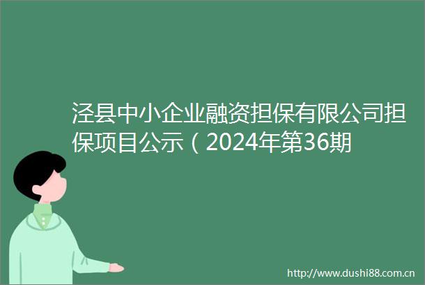泾县中小企业融资担保有限公司担保项目公示(2024年第36期)