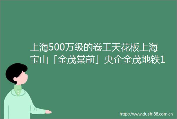 上海500万级的卷王天花板上海宝山「金茂棠前」央企金茂地铁19号线高铁站合生汇