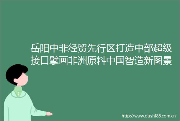 岳阳中非经贸先行区打造中部超级接口擘画非洲原料智造新图景