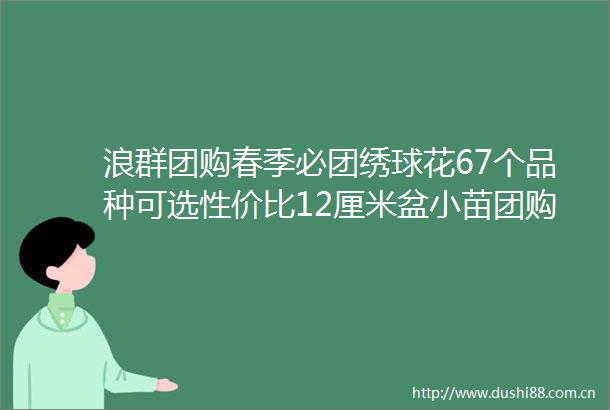 浪群团购春季必团绣球花67个品种可选性价比12厘米盆小苗团购秒杀款仅57元盆