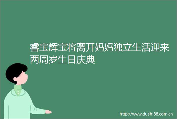 睿宝辉宝将离开妈妈独立生活迎来两周岁生日庆典