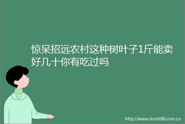 惊呆招远农村这种树叶子1斤能卖好几十你有吃过吗