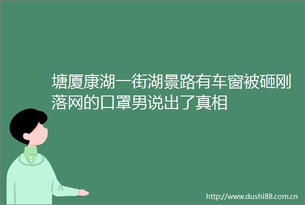 塘厦康湖一街湖景路有车窗被砸刚落网的口罩男说出了真相