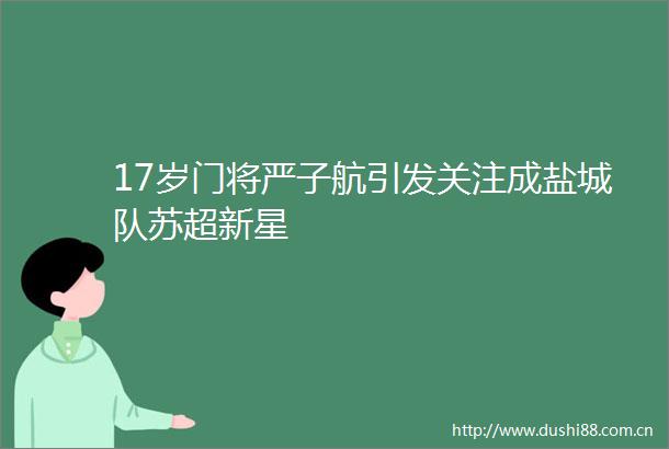 17岁门将严子航引发关注成盐城队苏超新星