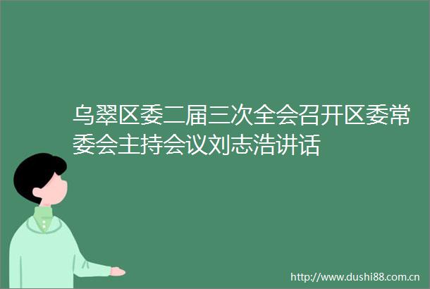 乌翠区委二届三次全会召开区委常委会主持会议刘志浩讲话