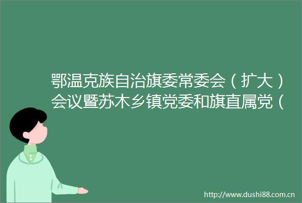 鄂温克族自治旗委常委会（扩大）会议暨苏木乡镇党委和旗直属党（工）委书记2024年度抓基层党建工作述职评议会议召开