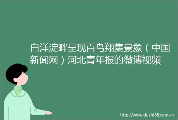 白洋淀畔呈现百鸟翔集景象（新闻网）河北青年报的微博视频