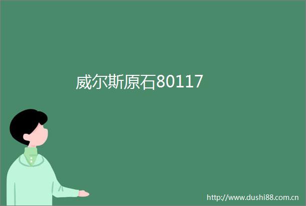 威尔斯原石80117