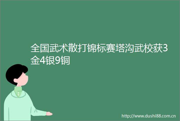 全国武术散打锦标赛塔沟武校获3金4银9铜