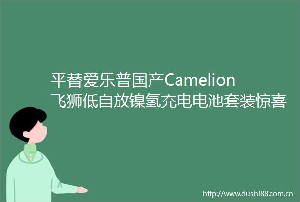 平替爱乐普国产Camelion飞狮低自放镍氢充电电池套装惊喜来袭