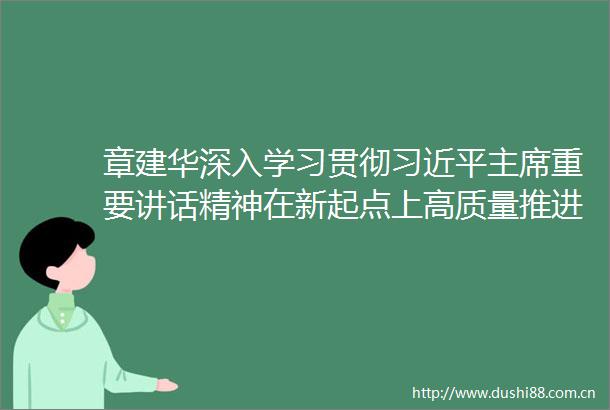 章建华深入学习贯彻重要讲话精神在新起点上高质量推进一带一路能源合作