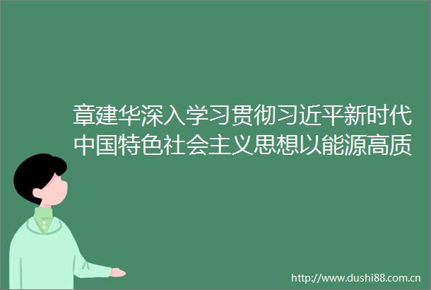 章建华深入学习贯彻新时代特色社会主义思想以能源高质量发展支撑式现代化建设