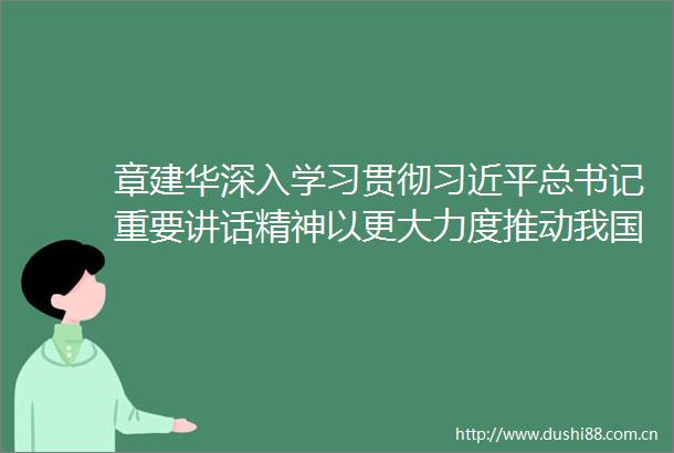 章建华深入学习贯彻总书记重要讲话精神以更大力度推动我国新能源高质量发展