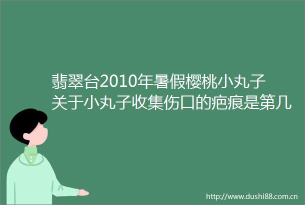 翡翠台2010年暑假樱桃小丸子关于小丸子收集伤口的疤痕是第几集