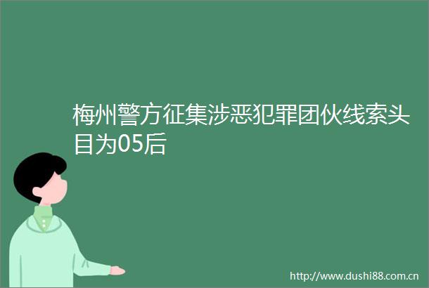 梅州警方征集涉恶团伙线索头目为05后