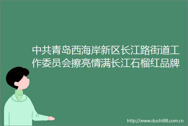 青岛西海岸新区长江路街道工作委员会擦亮情满长江石榴红品牌全国民族团结进步表彰大会模范风采录