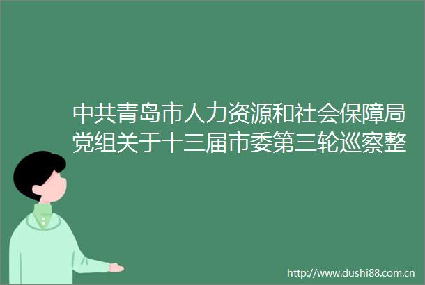青岛市人力资源和社会保障局党组关于十三届市委第三轮巡察整改进展情况的通报