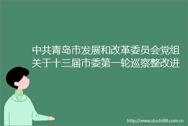青岛市发展和改革委员会党组关于十三届市委第一轮巡察整改进展情况的通报