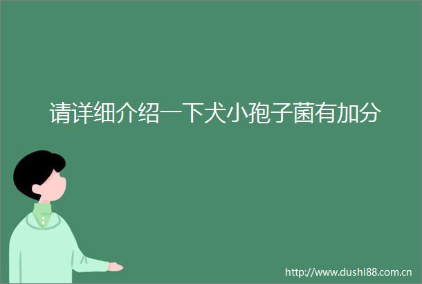 请详细介绍一下犬小孢子菌有加分