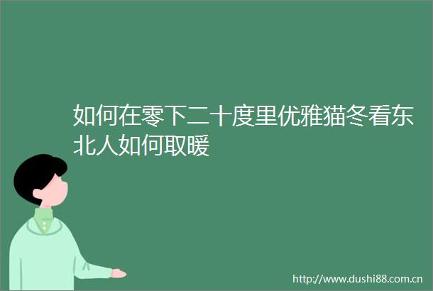 如何在零下二十度里优雅猫冬看东北人如何取暖