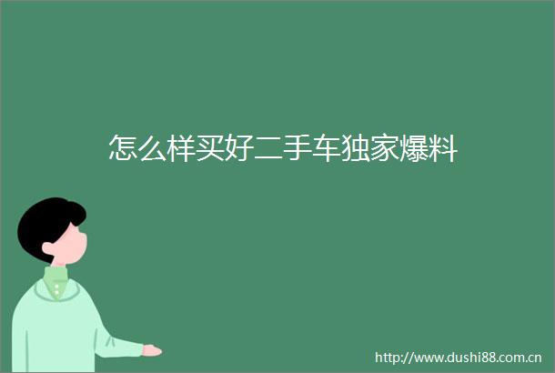 怎么样买好二手车独家爆料