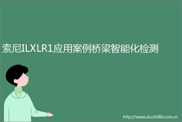 索尼ILXLR1应用案例桥梁智能化检测