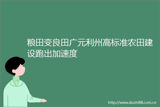 粮田变良田广元利州高标准农田建设跑出加速度