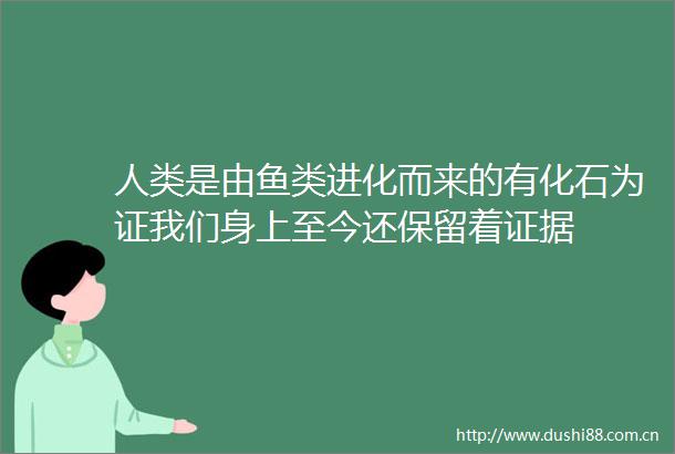 人类是由鱼类进化而来的有化石为证我们身上至今还保留着