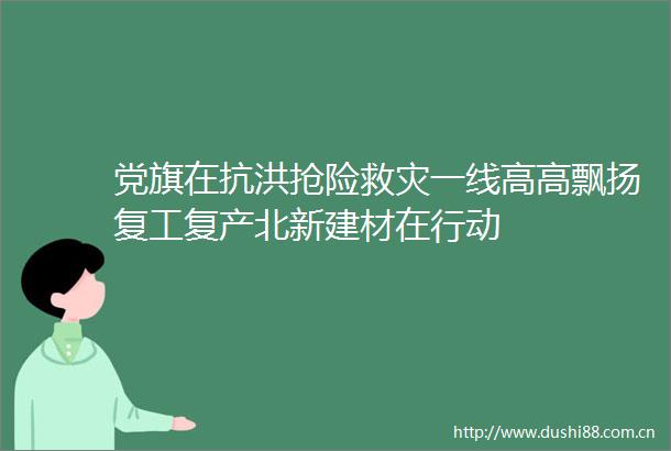 党旗在抗洪抢险救灾一线高高飘扬复工复产北新建材在行动
