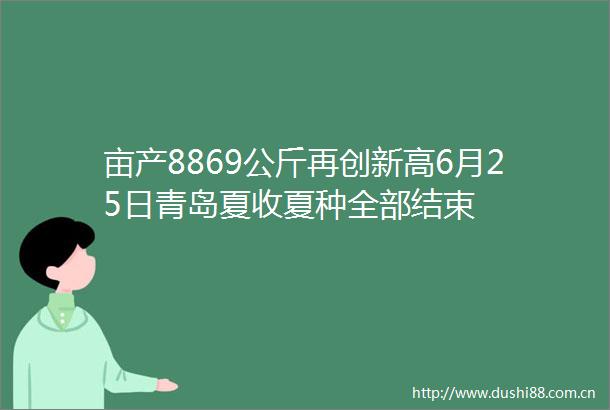 亩产8869公斤再创新高6月25日青岛夏收夏种全部结束