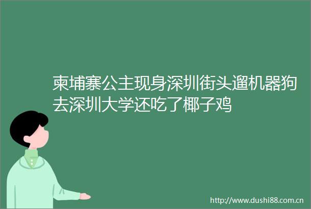柬埔寨公主现身深圳街头遛机器狗去深圳大学还吃了椰子鸡