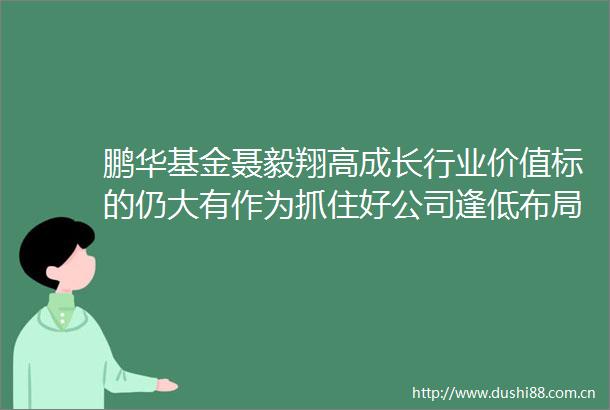 鹏华基金聂毅翔高成长行业价值标的仍大有作为抓住好公司逢低布局
