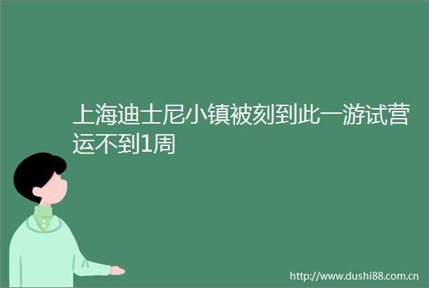 上海迪士尼小镇被刻到此一游试营运不到1周