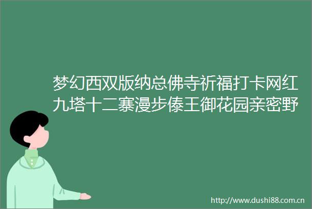 梦幻西双版纳总佛寺祈福打卡网红九塔十二寨漫步傣王御花园亲密野象谷＋寻找野象索道5日计划