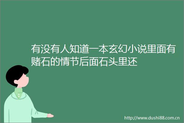 有没有人知道一本玄幻小说里面有赌石的情节后面石头里还