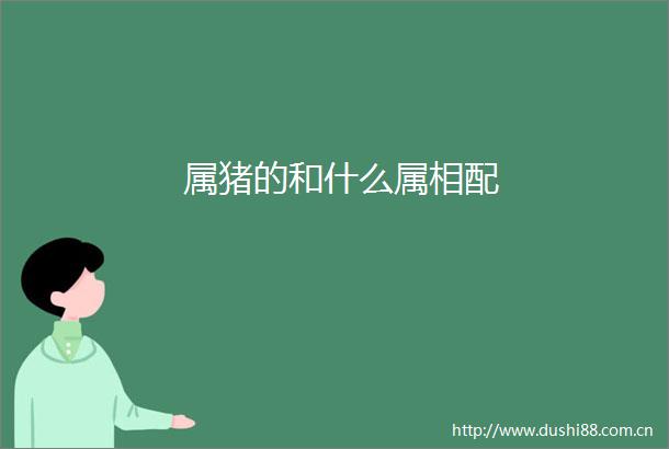 属猪的和什么属相配